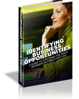 Identifying Business Opportunities