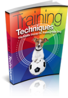 Training Techniques